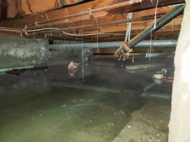 Best 24/7 water damage repair  in Gatesville, TX