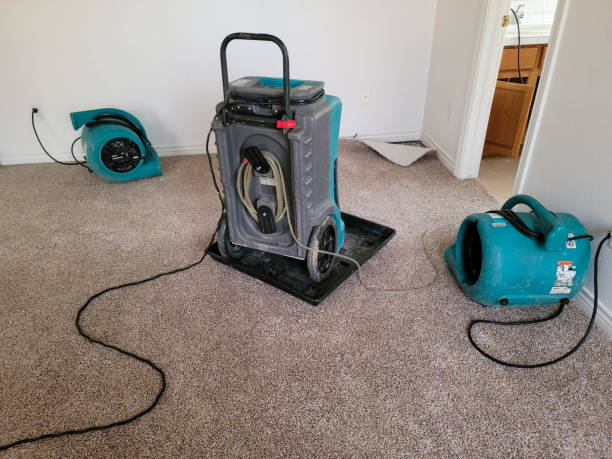 Best Flood restoration services  in Gatesville, TX