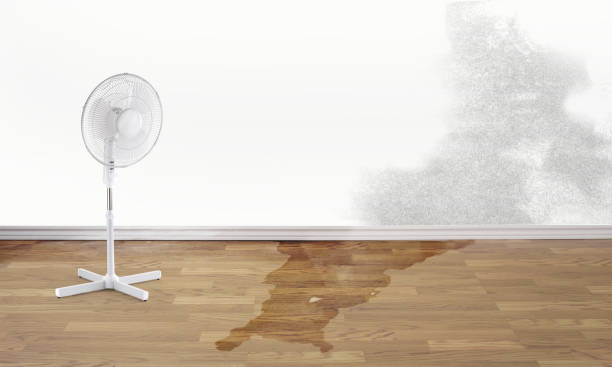 Best Water damage restoration near me  in Gatesville, TX