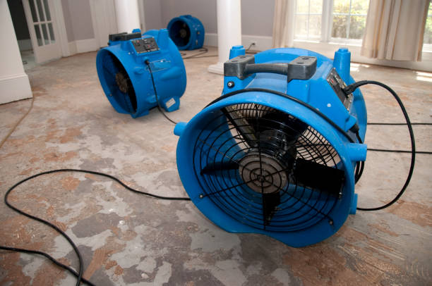 Best Residential water damage restoration  in Gatesville, TX