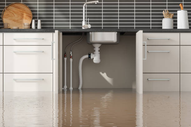 Best Water damage cleanup near me  in Gatesville, TX