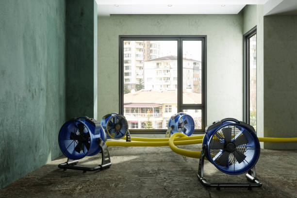 Carpet water damage restoration in Gatesville, TX